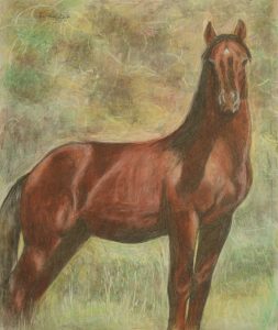 Maleri av hest ©HelgaBosten2017