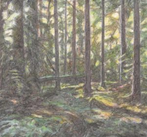 Tegning av skog av Helga Bosten